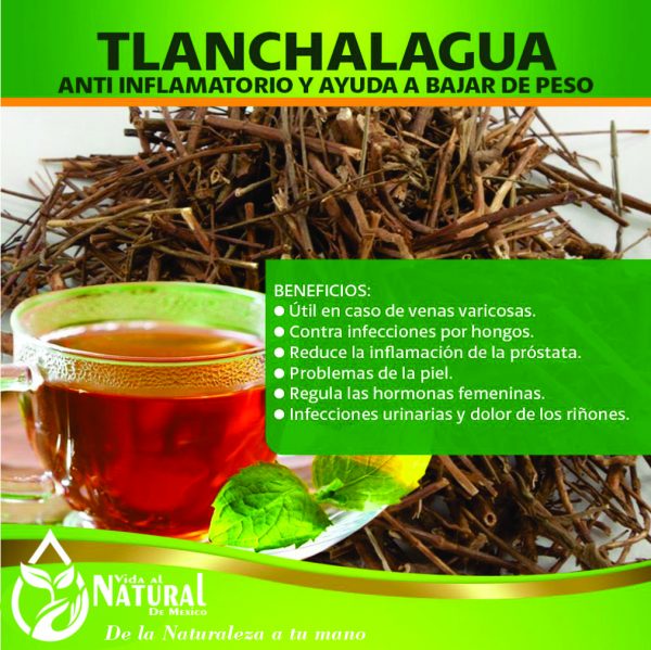 Tlanchalagua – 8 Onzas – vida al natural de mexico